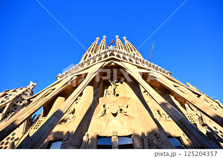 サグラダ・ファミリア大聖堂 125204357