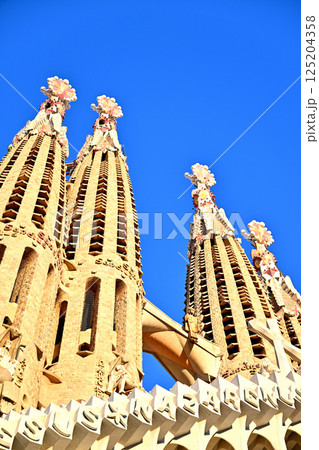 サグラダ・ファミリア大聖堂 125204358