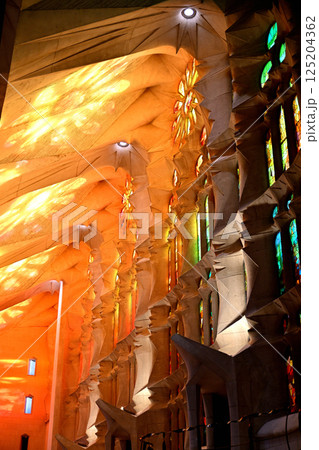 サグラダ・ファミリア大聖堂 125204362