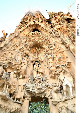 サグラダ・ファミリア大聖堂 125204365
