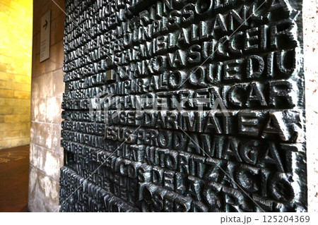 サグラダ・ファミリア大聖堂 サグラダ・ファミリア大聖堂 125204369