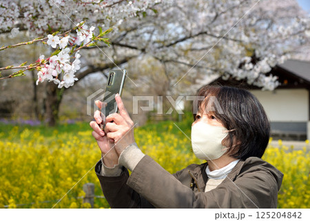 携帯電話で花の写真を撮るシニア 携帯電話で花の写真を撮るシニア 125204842