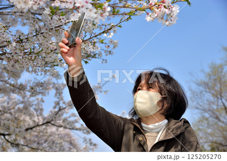 携帯電話で花の写真を撮るシニア 携帯電話で花の写真を撮るシニア 125205270