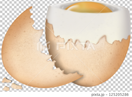 Boiled Chicken eggs natural cute cartoon hand drawn Food Art illustration. Boiled Chicken eggs natural cute cartoon hand drawn Food Art illustration. 125205286