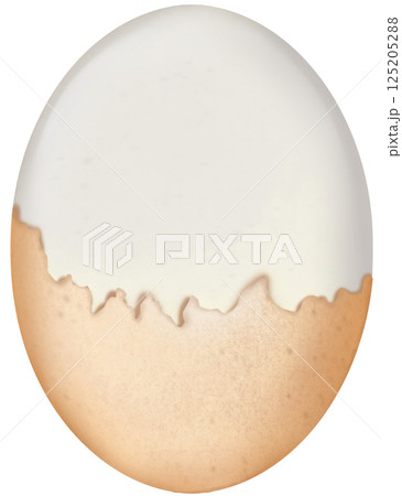 Boiled Chicken eggs natural cute cartoon hand drawn Food Art illustration. Boiled Chicken eggs natural cute cartoon hand drawn Food Art illustration. 125205288