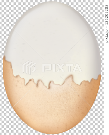 Boiled Chicken eggs natural cute cartoon hand drawn Food Art illustration. 125205288