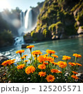 これから夏にかけての花達 125205571