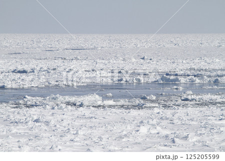 オホーツク海の流氷を望む釧網本線車窓　流氷物語号　流氷ノロッコ号 125205599