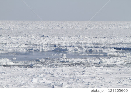 オホーツク海の流氷を望む釧網本線車窓　流氷物語号　流氷ノロッコ号 125205600
