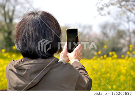 携帯電話で花の写真を撮るシニア 携帯電話で花の写真を撮るシニア 125205659