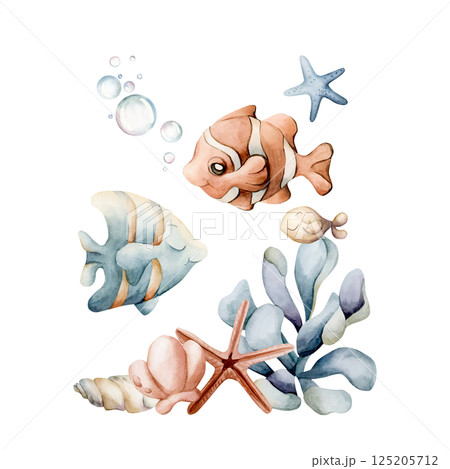 Cute Fishes Sea Shells Starfish Seaweed. Ocean marine animals and plants. Adorable clown fish and angelfish. Watercolor hand painted summer isolated illustration for kids nursery sticker baby shower Cute Fishes Sea Shells Starfish Seaweed. Ocean marine animals and plants. Adorable clown fish and angelfish. Watercolor hand painted summer isolated illustration for kids nursery sticker baby shower 125205712