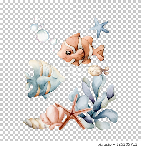 Cute Fishes Sea Shells Starfish Seaweed. Ocean marine animals and plants. Adorable clown fish and angelfish. Watercolor hand painted summer isolated illustration for kids nursery sticker baby shower Cute Fishes Sea Shells Starfish Seaweed. Ocean marine animals and plants. Adorable clown fish and angelfish. Watercolor hand painted summer isolated illustration for kids nursery sticker baby shower 125205712