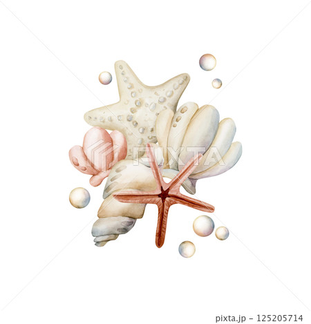 Sea Shells Starfishes Pearls. Cute ivory seashells. Underwater ocean marine life. Watercolor hand painted summer isolated illustration for kids nursery decor wall sticker baby shower undersea design Sea Shells Starfishes Pearls. Cute ivory seashells. Underwater ocean marine life. Watercolor hand painted summer isolated illustration for kids nursery decor wall sticker baby shower undersea design 125205714