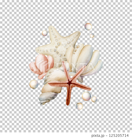Sea Shells Starfishes Pearls. Cute ivory seashells. Underwater ocean marine life. Watercolor hand painted summer isolated illustration for kids nursery decor wall sticker baby shower undersea design Sea Shells Starfishes Pearls. Cute ivory seashells. Underwater ocean marine life. Watercolor hand painted summer isolated illustration for kids nursery decor wall sticker baby shower undersea design 125205714