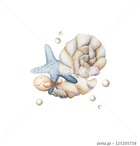 Sea Shell Starfish Fish Pearls. Cute ivory seashells. Underwater ocean marine life. Watercolor hand painted summer isolated illustration for kids nursery decor wall sticker baby shower undersea design Sea Shell Starfish Fish Pearls. Cute ivory seashells. Underwater ocean marine life. Watercolor hand painted summer isolated illustration for kids nursery decor wall sticker baby shower undersea design 125205716