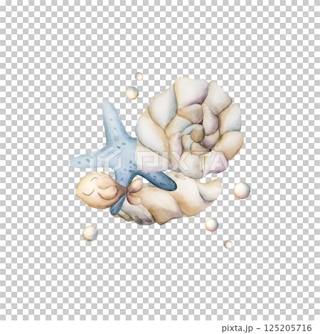 Sea Shell Starfish Fish Pearls. Cute ivory seashells. Underwater ocean marine life. Watercolor hand painted summer isolated illustration for kids nursery decor wall sticker baby shower undersea design 125205716
