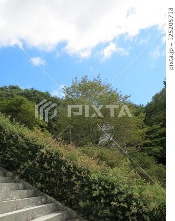 2014年・香川・高松・屋島・風景・神社・屋島神社・其の二十九 125205718