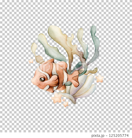 Cute Clown Fish Sea Shell Seaweed Stars. Ocean marine animal and plants. Watercolor hand painted summer illustration isolated on white background for kids nursery decor wall sticker baby shower card 125205774