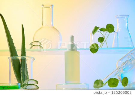 Dropper bottle containing essence placed on round podium. Aloe vera plant with thorns around the stem. Empty florence flask and conical flask placed on glass surface with a beaker of pennywort. Dropper bottle containing essence placed on round podium. Aloe vera plant with thorns around the stem. Empty florence flask and conical flask placed on glass surface with a beaker of pennywort. 125206005