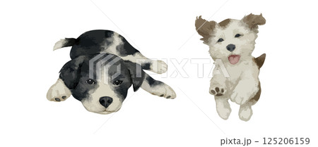 Watercolor puppy dog illustration set with cute playful dogs in hand painted style for pet design greeting cards kids decor and animal print projects 125206159