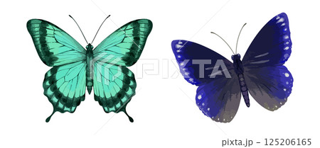 Watercolor butterfly illustration set with green and blue wings. Hand painted insect vector for wall art fashion print nature decor and packaging design 125206165
