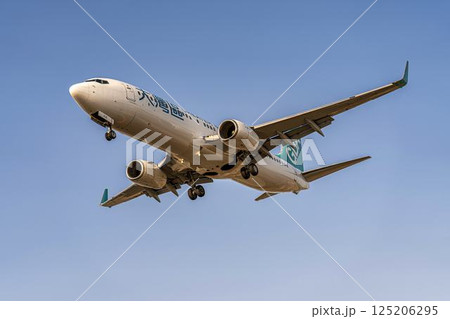 夕暮れの仙台空港　着陸中の飛行機　宮城県名取市 125206295