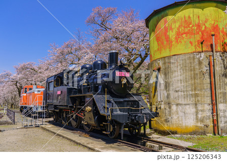 桜と蒸気機関車　若桜鉄道　鳥取県 125206343