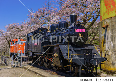 桜と蒸気機関車 若桜鉄道 鳥取県 桜と蒸気機関車 若桜鉄道 鳥取県 125206344