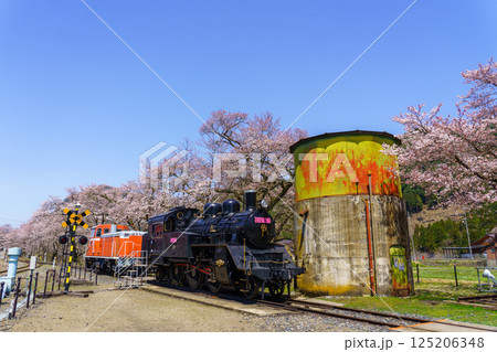 桜と蒸気機関車　若桜鉄道　鳥取県 125206348