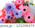 優しい色のお花たち 125206479