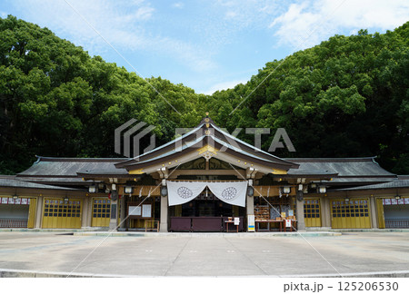森の中の神社 125206530