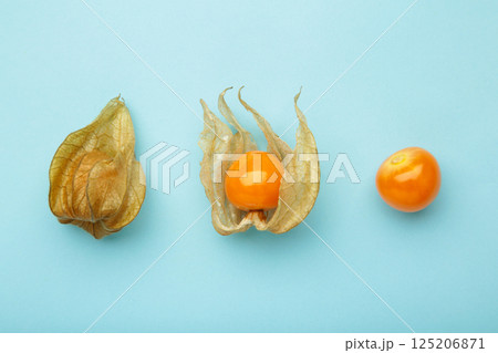 Collection of physalis berries on blue background. Collection of physalis berries on blue background. 125206871