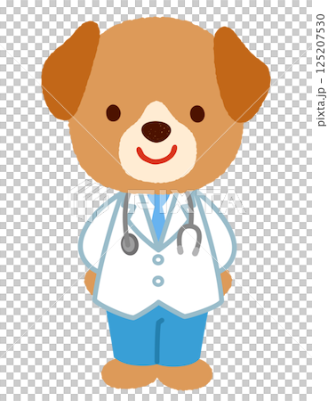 かわいいイヌのお医者さん 125207530
