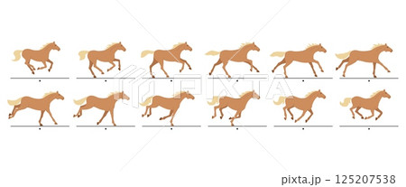 Cartoon running horse animation frames. Galloping, horses gait movement cycle sequence, animated canter. Racehorse running isolated vector illustration set 125207538