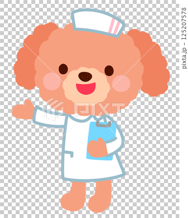 Cute dog nurse doctor poodle 125207578