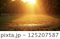 夕日に照らされた道 125207587