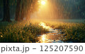 朝日に照らされた秋の公園 125207590