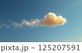 青空に浮かぶ雲 125207591