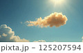 青空に浮かぶ雲 125207594