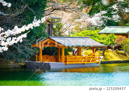 【京都風景】大覚寺　大沢池の周りは桜一色 125208437
