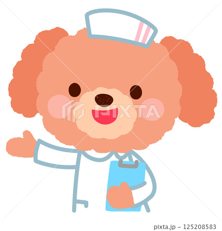 かわいいイヌの看護師さん お医者さん プードル かわいいイヌの看護師さん お医者さん プードル 125208583