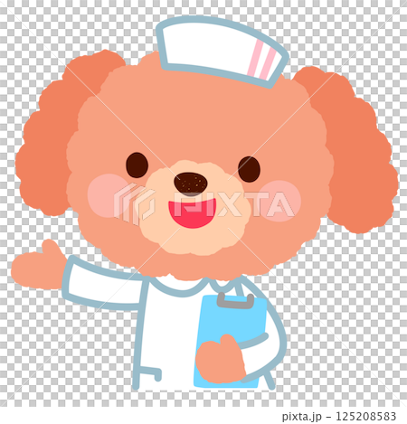Cute dog nurse doctor poodle Cute dog nurse doctor poodle 125208583