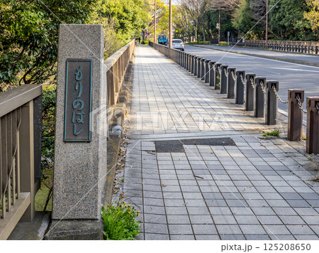千葉県松戸市「21世紀の森と広場」の上に架かる道路橋「森の橋」の銘板 125208650