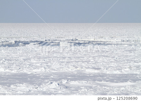オホーツク海の流氷を望む釧網本線車窓 流氷物語号 流氷ノロッコ号 オホーツク海の流氷を望む釧網本線車窓 流氷物語号 流氷ノロッコ号 125208690