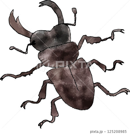 手書きクワガタのイラスト 125208985