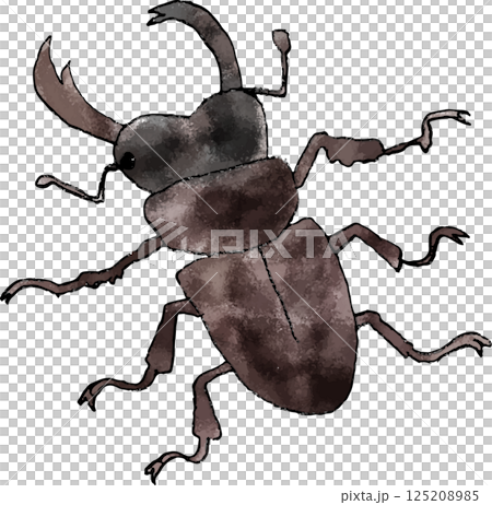 手書きクワガタのイラスト 125208985