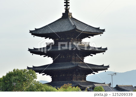 八坂の塔　法観寺　五重塔【重文】 125209339