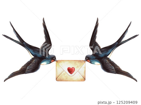 Swallows birds Valentine's day love envelope with heart in vintage style. Watercolor illustration with romantic letter. Perfect for postcard, Valentine's day or wedding decoration, spring arrangement Swallows birds Valentine's day love envelope with heart in vintage style. Watercolor illustration with romantic letter. Perfect for postcard, Valentine's day or wedding decoration, spring arrangement 125209409