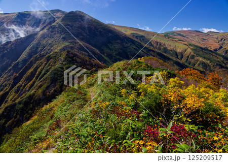 紅葉のダイグラ尾根から見る雲湧く飯豊本山と御西岳 125209517