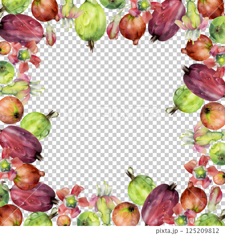 Gooseberry garden Currant berries, flowers in water dew drops hand drawn in watercolor. Isolated square border frame illustration. Home preserves, recipe book, cafe menu, stationery, food store decor Gooseberry garden Currant berries, flowers in water dew drops hand drawn in watercolor. Isolated square border frame illustration. Home preserves, recipe book, cafe menu, stationery, food store decor 125209812